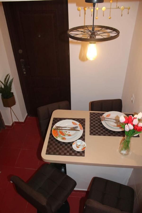 Tîrgu OcnaApartament Dania & Petru公寓 外观 照片