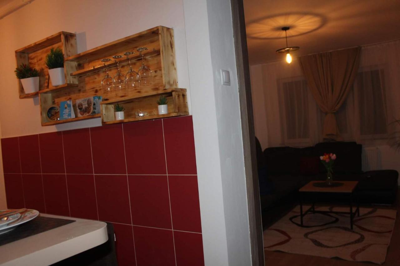 Tîrgu OcnaApartament Dania & Petru公寓 外观 照片